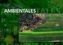 Amb.jpg (Sistema para el Procesamiento de las Estadsticas Ambientales)